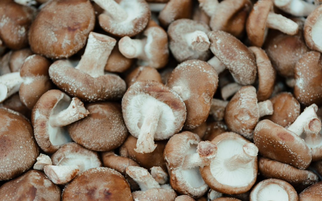 a pile of brown shiitake mushrooms - mushroom health benefits