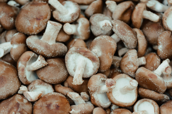 a pile of brown shiitake mushrooms - mushroom health benefits