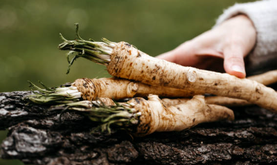 Growing Horseradish: The Spicy Root Vegetable That’s Easy To Grow
