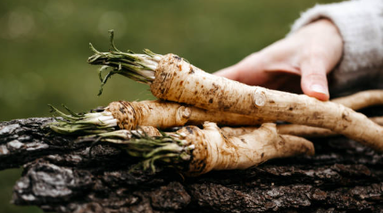 Growing Horseradish: The Spicy Root Vegetable That’s Easy To Grow